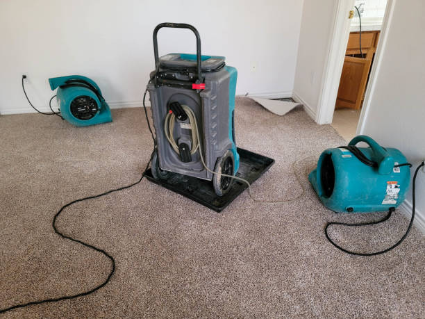Best Professional water damage repair  in Annetta, TX
