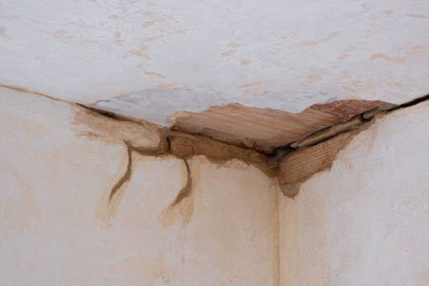 Best Flooded house restoration  in Annetta, TX