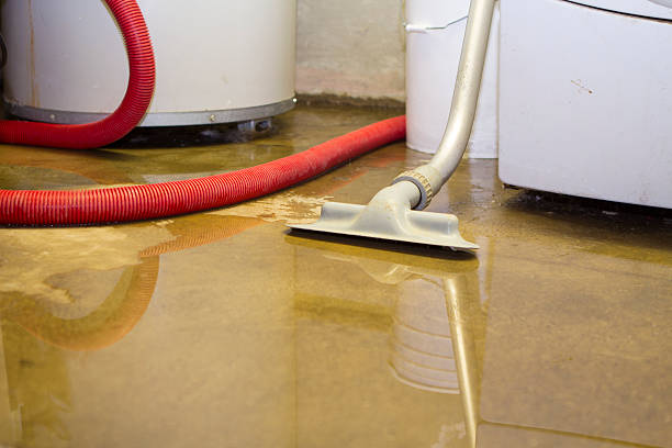 Best Carpet water damage restoration  in Annetta, TX