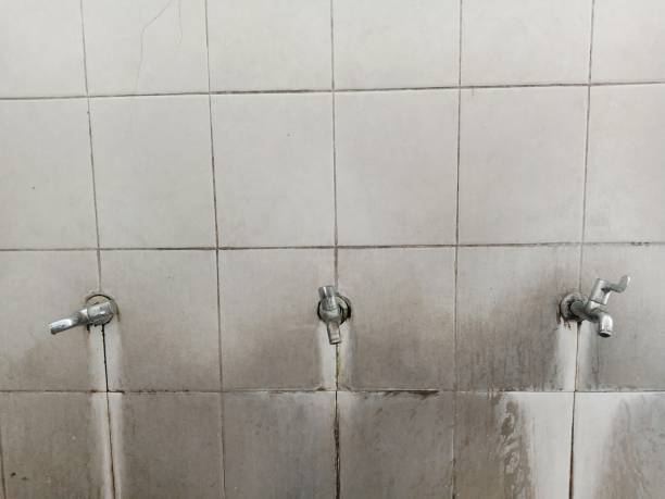 Best Ceiling water damage repair  in Annetta, TX