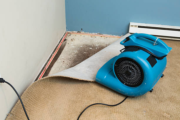 Best Flood damage cleanup  in Annetta, TX